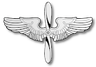 Air University Press website icon